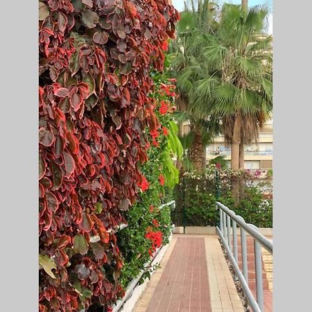 Jardines Del Sur, Ocean View Apartment Buzanada Exterior photo